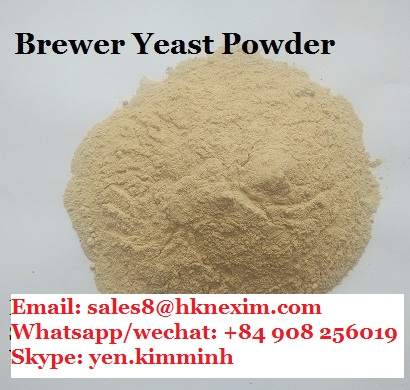 BREWER YEAST POWDER FOR ANIMAL FEED