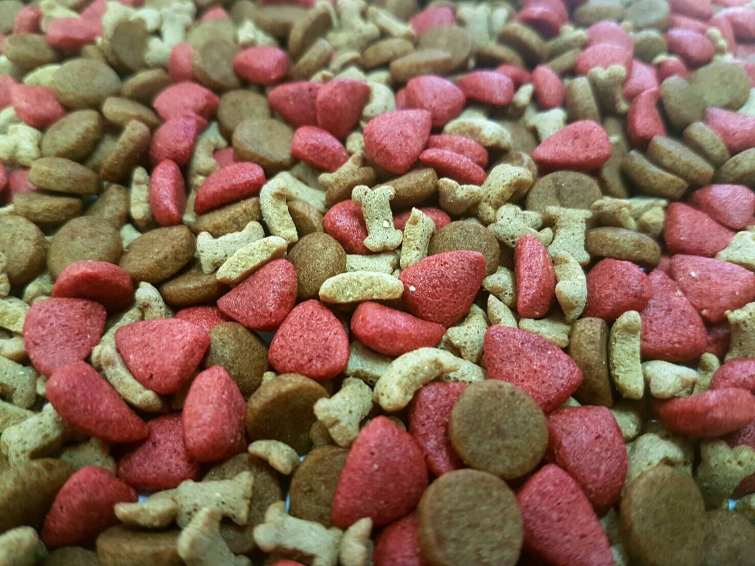 Dry Dog Food