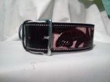 ZIC DOG COLLAR